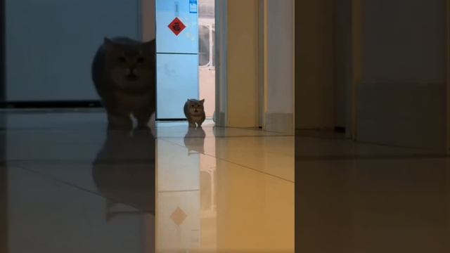 Страшный сын