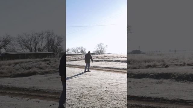 Южане, когда вдарил мороз -1 градусов