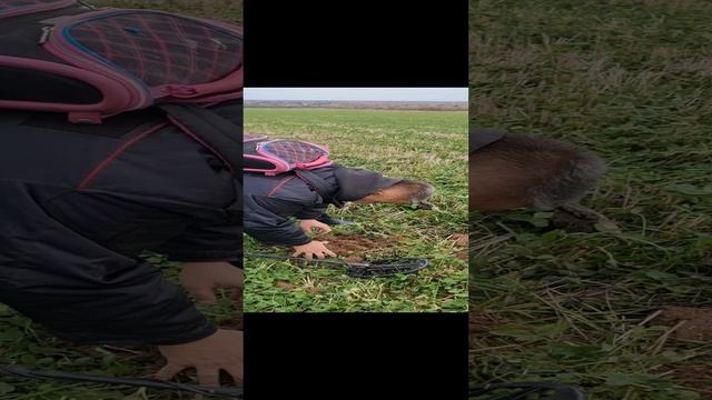 находка. монета.