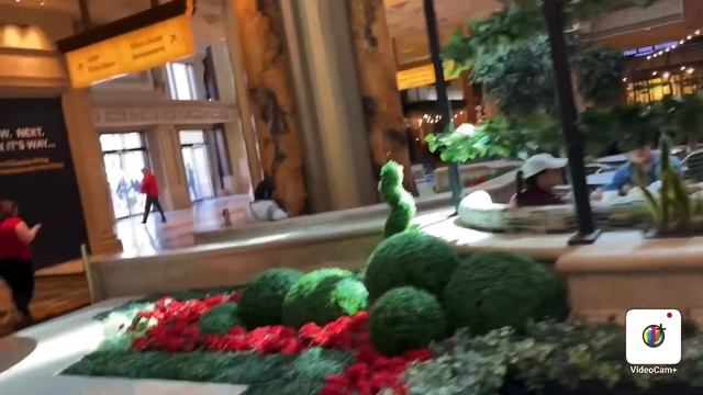 Las Vegas Caesar’s Palace Walk to White Castle  #shorts #Las Vegas #Travel Tips #walking the strip