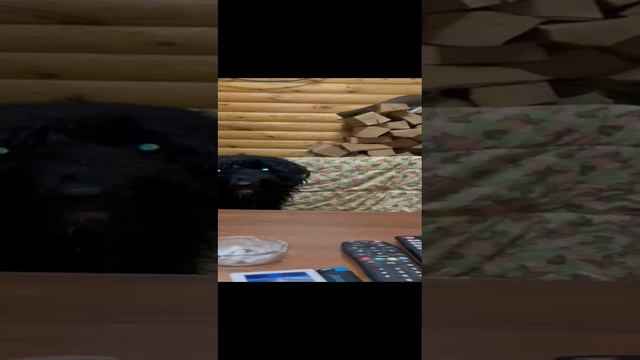 1000054898.mp4