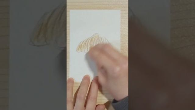 色鉛筆でクロワッサンを描きました🥐🏵️🌼🪐