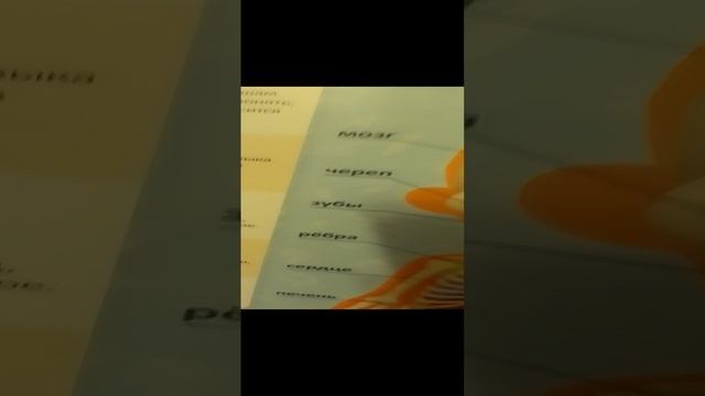 тело человека