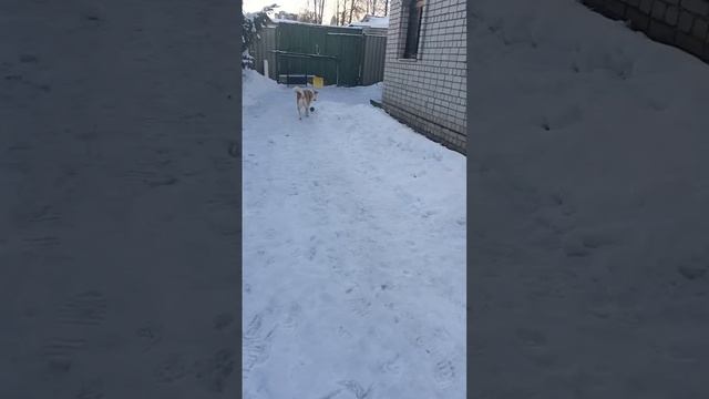 VID_20250106_131030_625.mp4