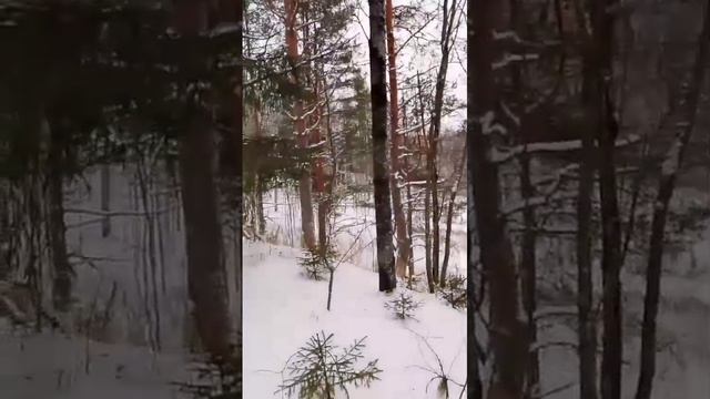 VID-20250106-WA0000.mp4