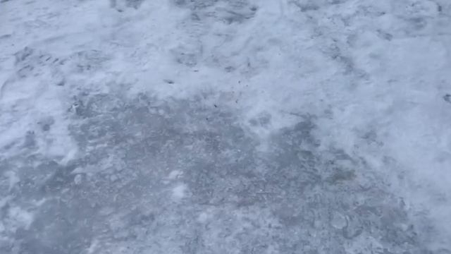 Поимка на ратлин