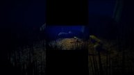 The Echoes of Nightmares - трейлер фанатского DLC