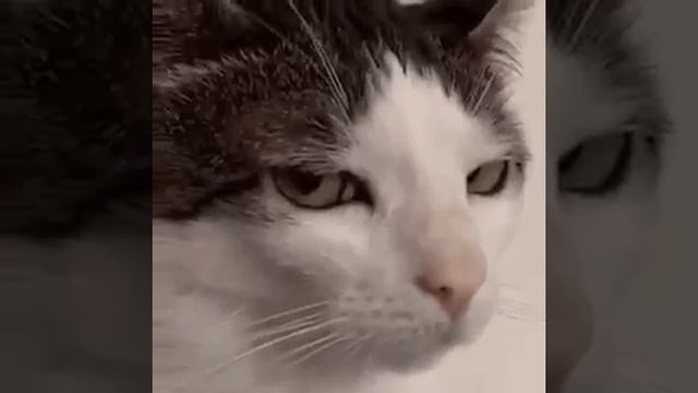 1000024580.mp4