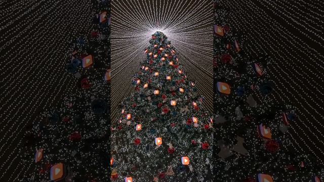 Красивая елка 🎄парк Горького