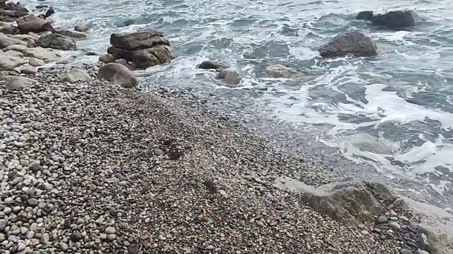 642.КРЫМ! В Алупке мазут Не обнаружен на пляже ЧЁРНЫЙ БУГОР. 5 янв. 2025.