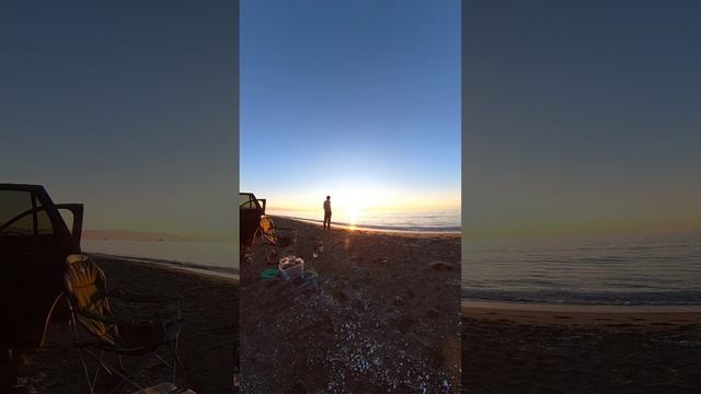 капровани.mp4