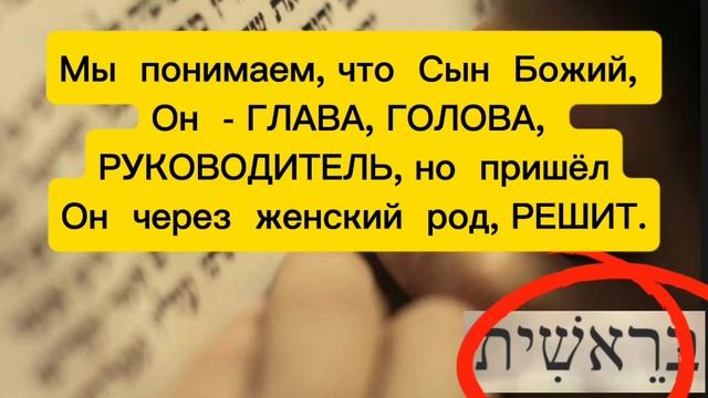 БЕРЕШИТ- Бытие
