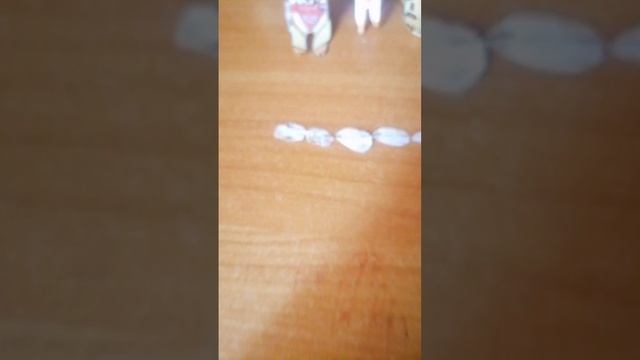я новая бумажная собачница