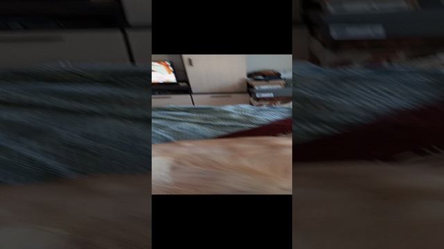 доверие очень важно при отдыхе. Моя Дейзи