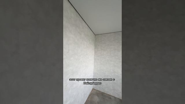 copy_E40C8361-FDA9-40AC-9E19-836791F5E692