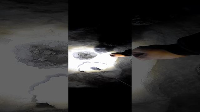 20250104_172907