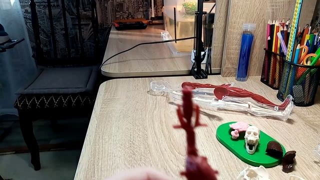 Разбираем игрушечного человека 😱