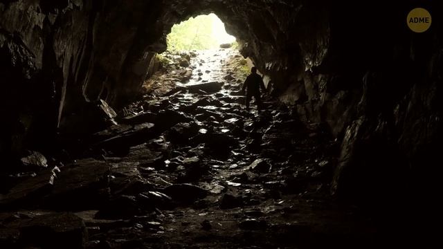 Ученые нашли доказательства смешивания видов человека