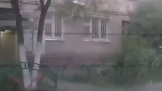 Талик чихает мем