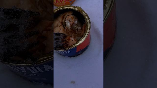 Консервы из Магазина"Светофор "