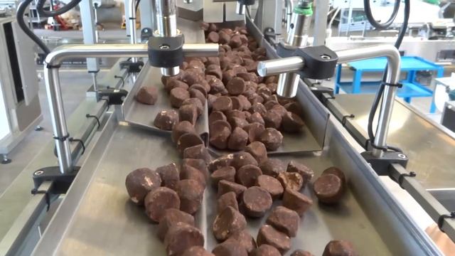 VIDEO MINI MAYA+PESATRICE 6 CANALI PRALINE SP220+SP259