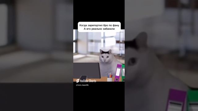 Отмечай братишку😂🤪 #mobilelegends #mlbbrussia #мобла #moba #мем #мл #мобайллегенд #memes #млбб