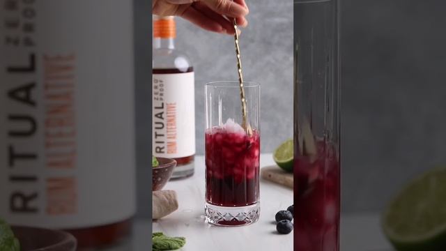 Blueberry Mojito Mocktail