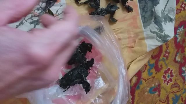 ферментация листьев одуванчика