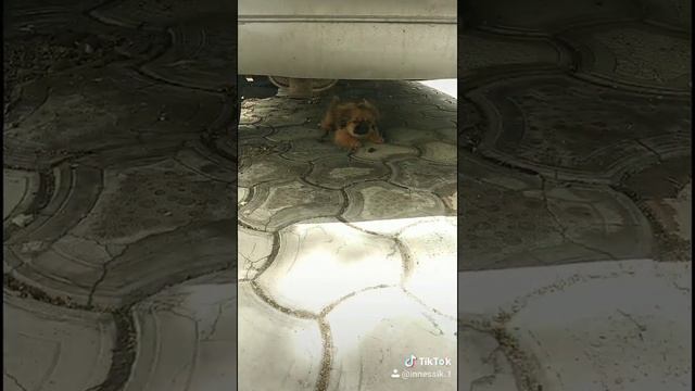 А где ты был?