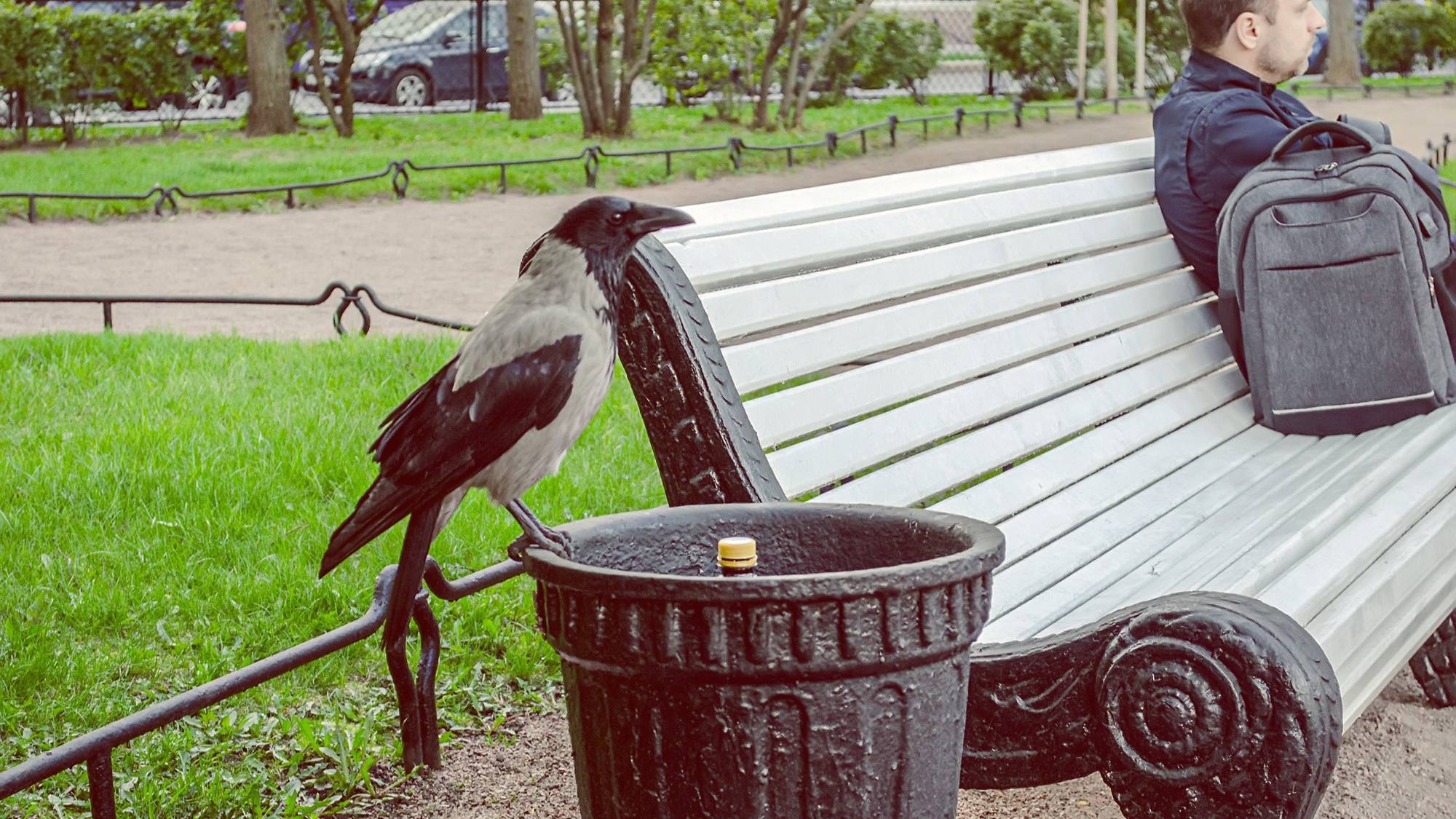 "ИСТОРИЯ ДЛИНОЮ В 9 МЕСЯЦЕВ".. (Фото Любови КЛЮЧЕВОЙ (СПб), музыка - Ilya BESHEVLI - Chris SPHEERIS