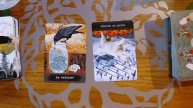 #tarotreading Weekend Spiritual Forecast INSIGHT 7 28 23