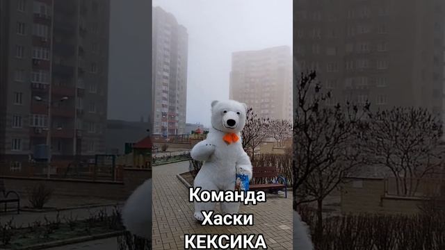 Команда Хаски КЕКСИКА