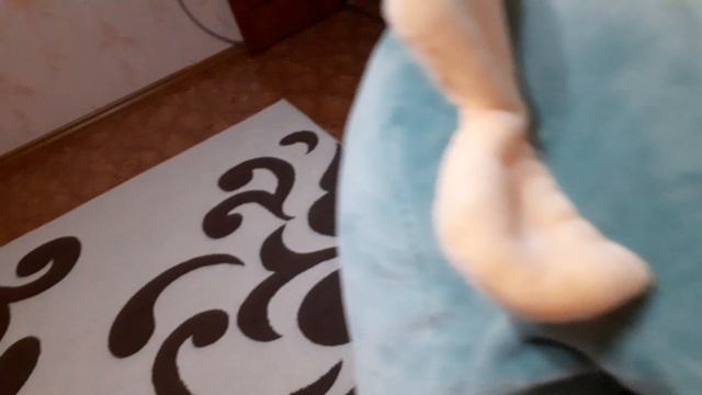 Тизер трейлер:Влог Шлёпы