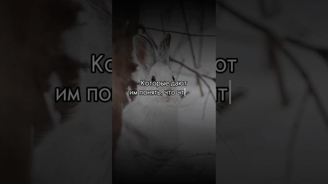 Расскажите об этом детям
