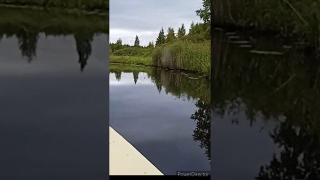 Речка между озёрами 2023.08.23