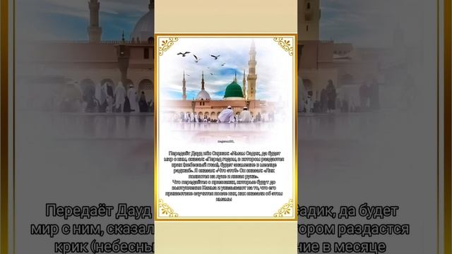 VID-20250106-WA0001.mp4