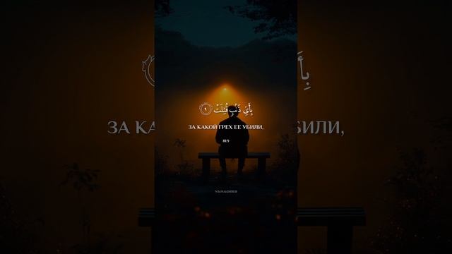 Сура Ат-Таквир аяты 1:14 | Ахмед Хидр