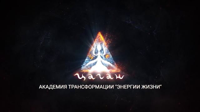 Отзывы
