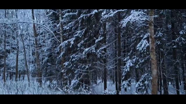 Павловский заповедник. парк