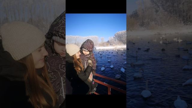 Лебединое озеро 🦢🦢