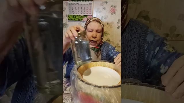 #квашенаякапуста #квашениекапусты #капуста #заквашивание #sauerkraut #cabbage #grandma #бабушка
