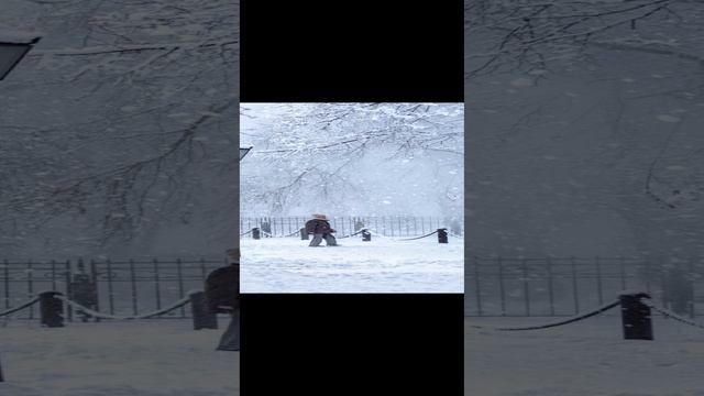 ❄️🪄Снежная сказка в Коломенском❄️#Москва #зима2025_январь #зимавмоскве #январь2025