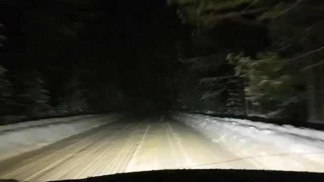 Lost ang Gone...метель в зимнем лесу.