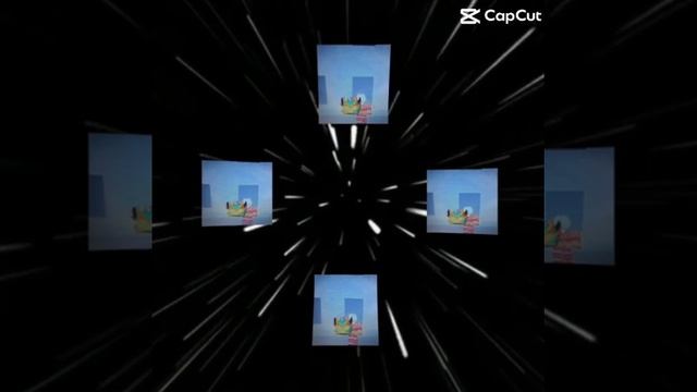 1000065454.mp4