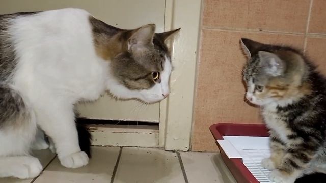 1000040186.mp4
