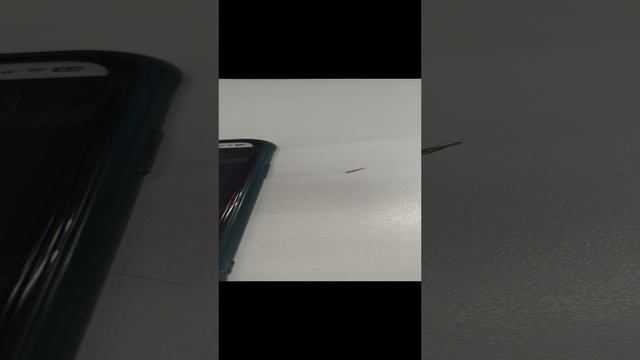 1000028107.mp4