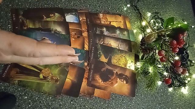 VID_20250106_071103.mp4