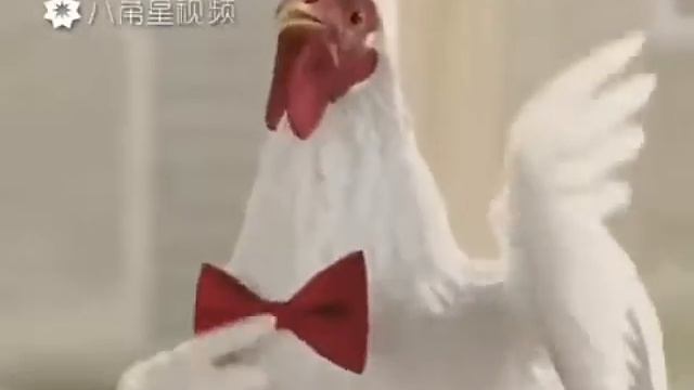 Міс СОФІЙКА