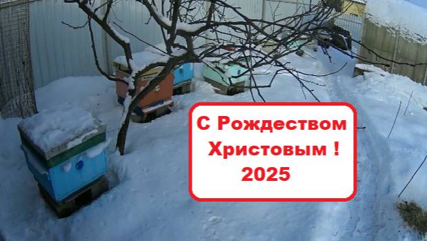 С Рождеством Христовым !