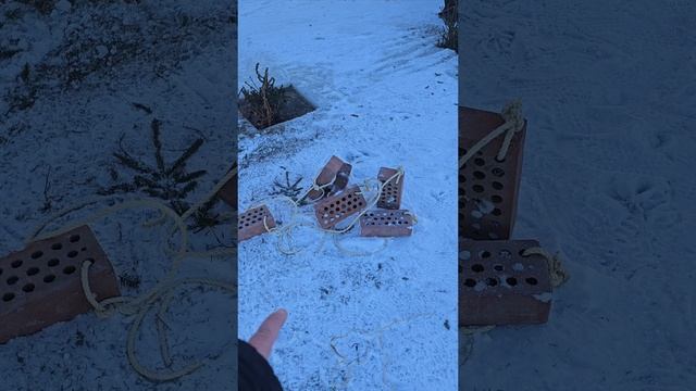 Затопление ёлок